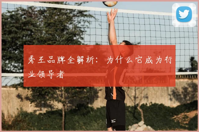 秀王品牌全解析:为什么它成为行业领导者