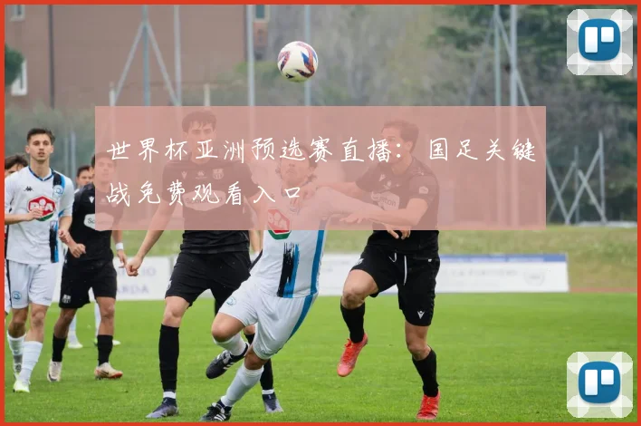 世界杯亚洲预选赛直播:国足关键战免费观看入口