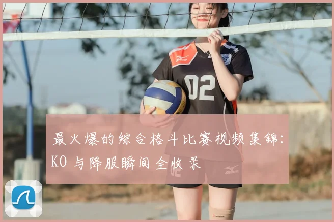 最火爆的综合格斗比赛视频集锦：KO 与降服瞬间全收录