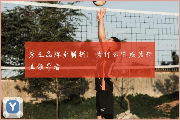 秀王品牌全解析:为什么它成为行业领导者